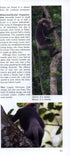 A Photographic Guide to Mammals of Sri Lanka - Wijeyeratne 2008