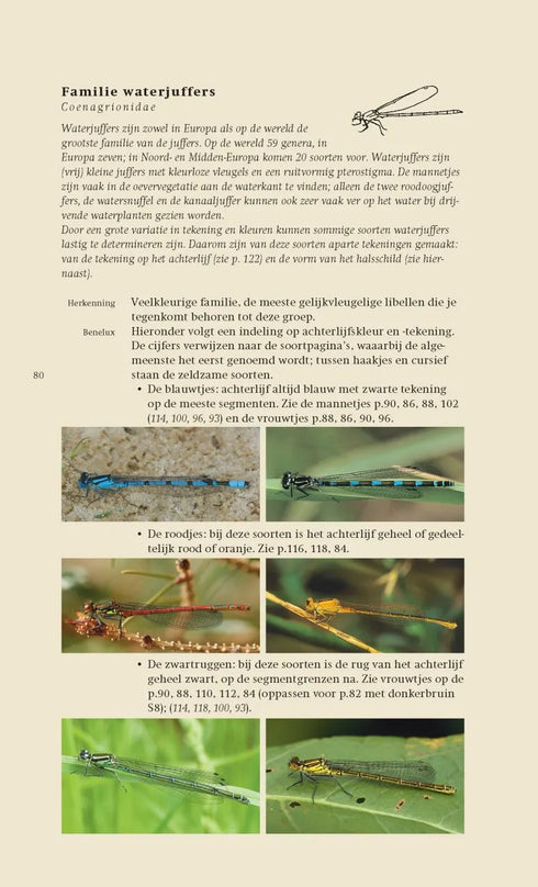 Veldgids Libellen - Field Guide to Dragonflies - Bos,F. 2007