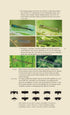 Veldgids Libellen - Field Guide to Dragonflies - Bos,F. 2007