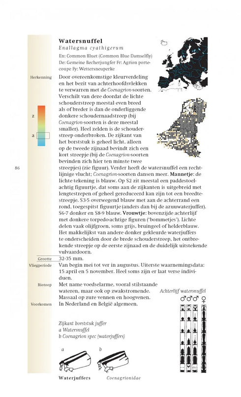 Veldgids Libellen - Field Guide to Dragonflies - Bos,F. 2007