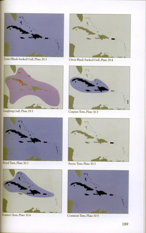 Collins Field Guide Birds of the West Indies - Arlott,N. 2010