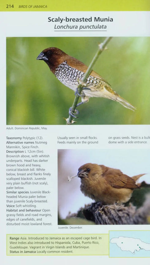 A Photographic guide to the Birds of Jamaica - Haynes Sutton ym. 2009