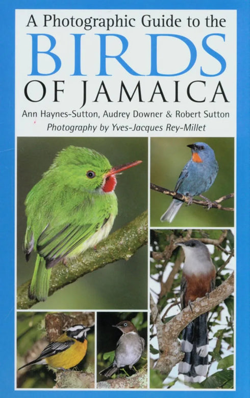 A Photographic guide to the Birds of Jamaica - Haynes Sutton ym. 2009