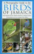 A Photographic guide to the Birds of Jamaica - Haynes Sutton ym. 2009