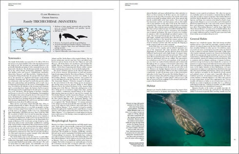 Handbook of the Mammals of the World no 4 -sea mammals - (Lynx) 2019