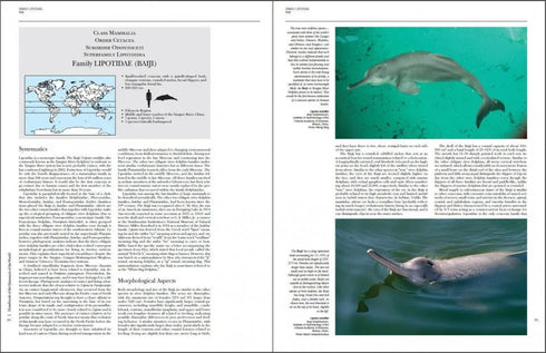 Handbook of the Mammals of the World no 4 -sea mammals - (Lynx) 2019