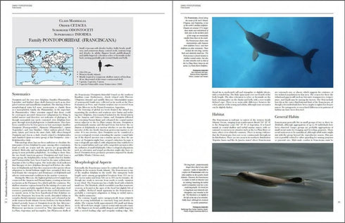 Handbook of the Mammals of the World no 4 -sea mammals - (Lynx) 2019