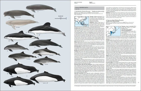 Handbook of the Mammals of the World no 4 -sea mammals - (Lynx) 2019