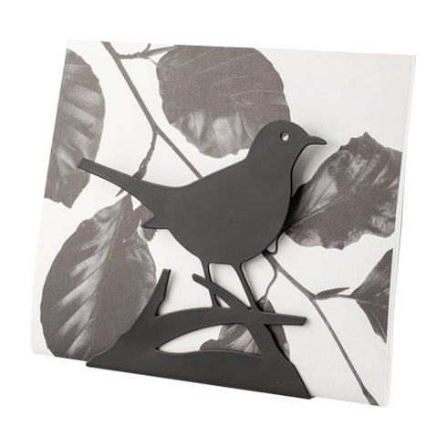 Kirjelokero, lautasliinanpidin, mustarastas