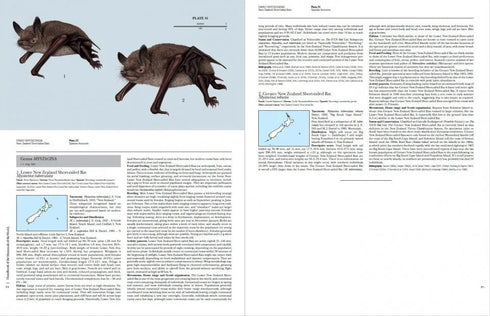 Handbook of the Mammals of the World no 9 Bats - (Lynx) 2019