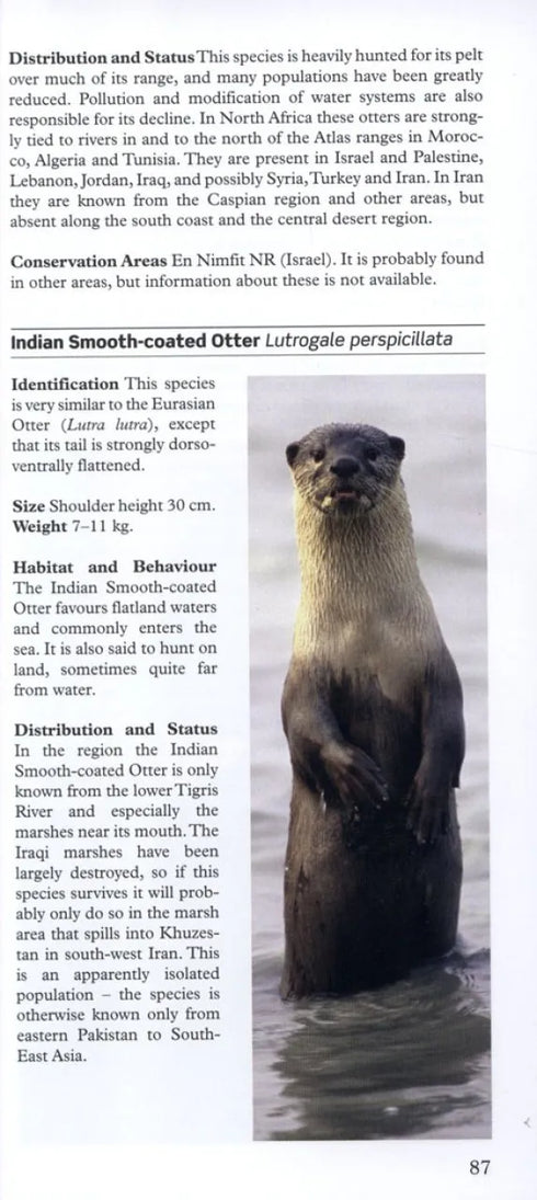 A Photographic Guide to Mammals of North Africa and the Middle East - Stuart,C. 2008