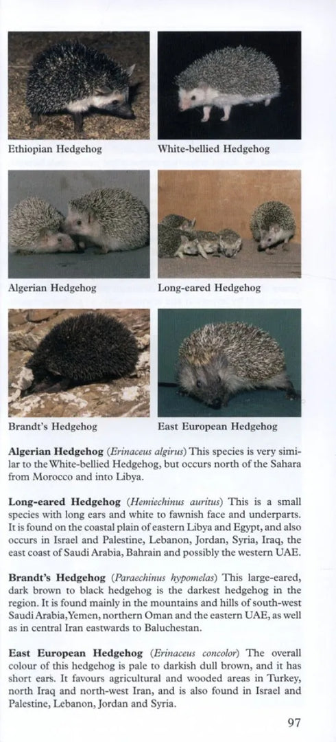 A Photographic Guide to Mammals of North Africa and the Middle East - Stuart,C. 2008