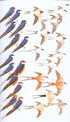 Collins Field Guide Birds of Eastern Africa - Per van Perlo 2009