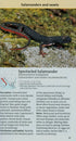 New Holland European Reptile and Amphibian Guide - Axel Kwet 2009