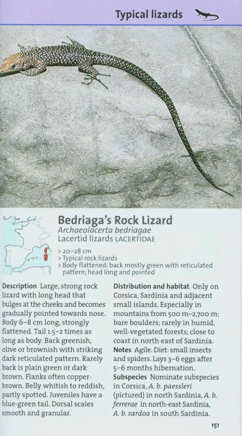 New Holland European Reptile and Amphibian Guide - Axel Kwet 2009