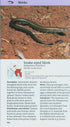 New Holland European Reptile and Amphibian Guide - Axel Kwet 2009