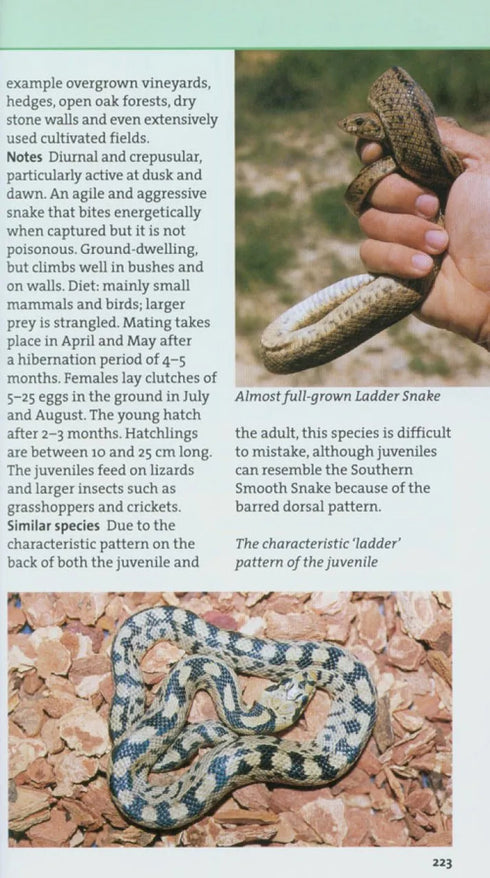 New Holland European Reptile and Amphibian Guide - Axel Kwet 2009