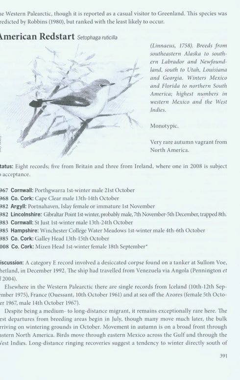 Rare Birds Where and When, Volume 1: Sandgrouse to New World Orioles - An Analysis of Status and Distribution in Britain and Ireland - Slack,R. 2009