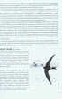 Rare Birds Where and When, Volume 1: Sandgrouse to New World Orioles - An Analysis of Status and Distribution in Britain and Ireland - Slack,R. 2009