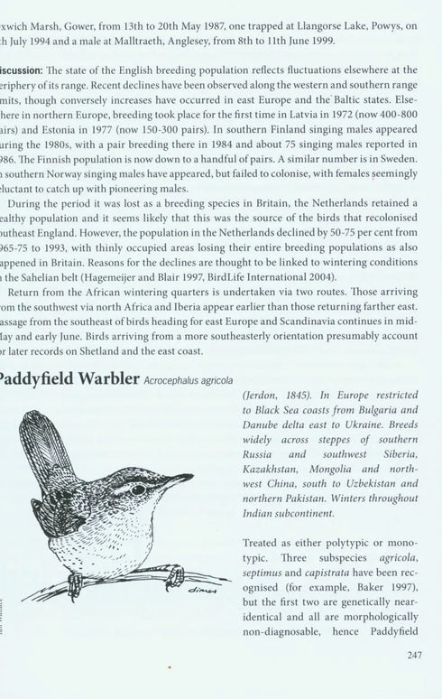 Rare Birds Where and When, Volume 1: Sandgrouse to New World Orioles - An Analysis of Status and Distribution in Britain and Ireland - Slack,R. 2009
