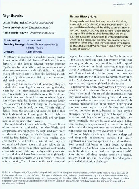 Better Birding - Tips, Tools & Concepts for the field (Armistead)