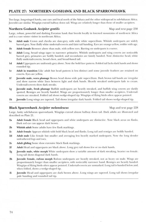 African Raptors - Clark 2018