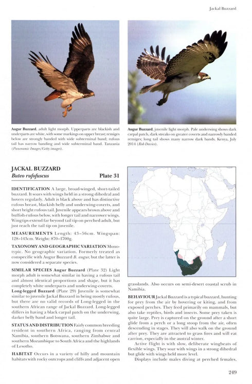 African Raptors - Clark 2018