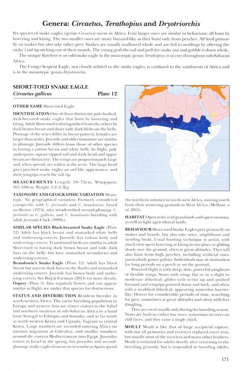 African Raptors - Clark 2018