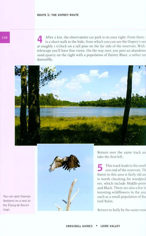 Crossbill Guide: Loire Valley - Loire, Brenne and Sologne - 2011