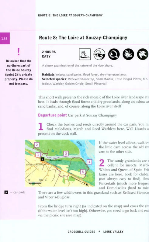 Crossbill Guide: Loire Valley - Loire, Brenne and Sologne - 2011