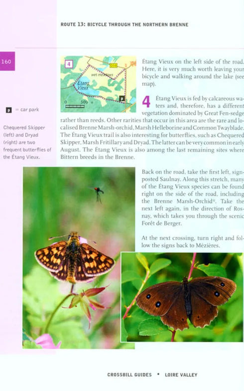 Crossbill Guide: Loire Valley - Loire, Brenne and Sologne - 2011