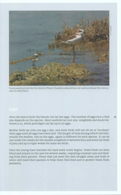 Birds of Cyprus, Stylianou - 2009