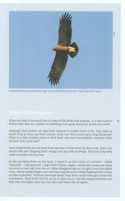 Birds of Cyprus, Stylianou - 2009