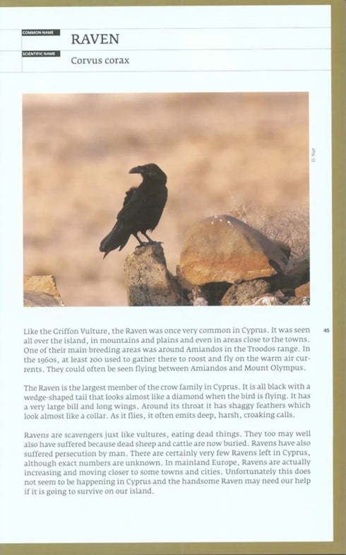 Birds of Cyprus, Stylianou - 2009