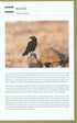 Birds of Cyprus, Stylianou - 2009