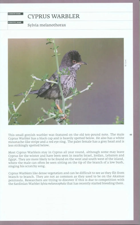 Birds of Cyprus, Stylianou - 2009