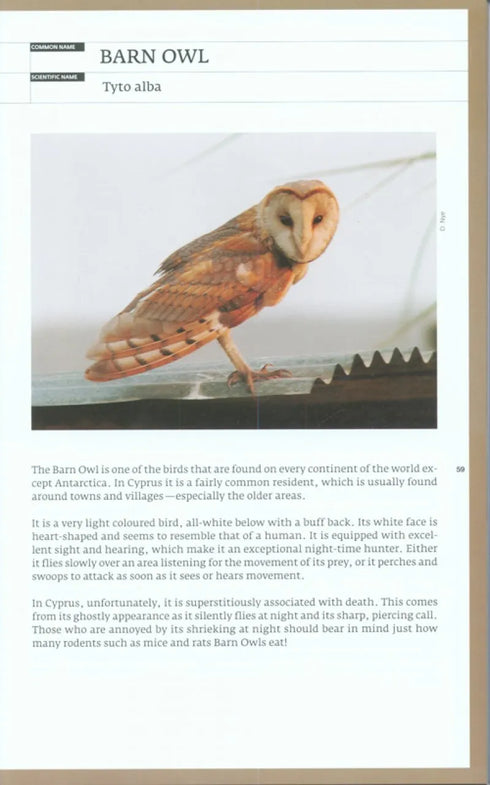 Birds of Cyprus, Stylianou - 2009