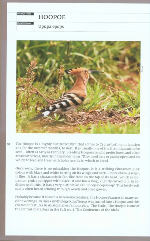 Birds of Cyprus, Stylianou - 2009