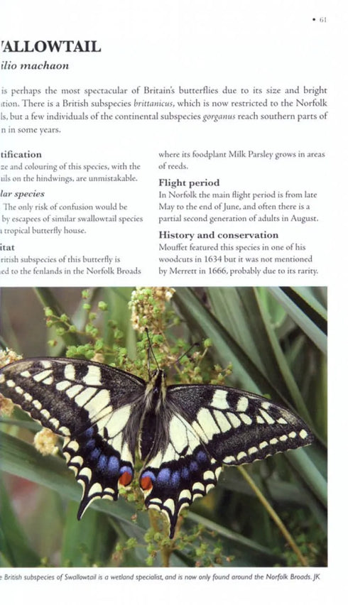 Butterflies of Britain and Ireland: A Field and Site Guide - Easterbrook,M. 2010