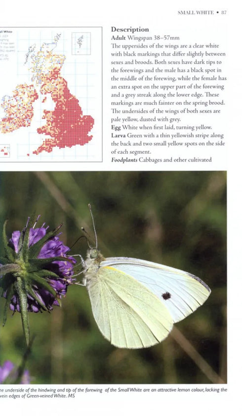 Butterflies of Britain and Ireland: A Field and Site Guide - Easterbrook,M. 2010