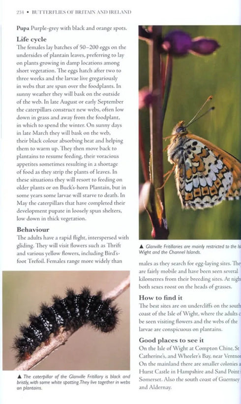 Butterflies of Britain and Ireland: A Field and Site Guide - Easterbrook,M. 2010