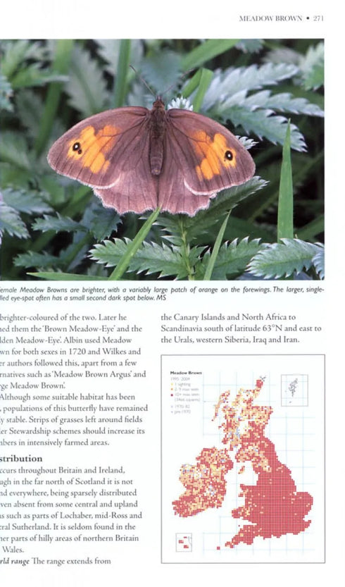 Butterflies of Britain and Ireland: A Field and Site Guide - Easterbrook,M. 2010