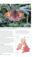 Butterflies of Britain and Ireland: A Field and Site Guide - Easterbrook,M. 2010