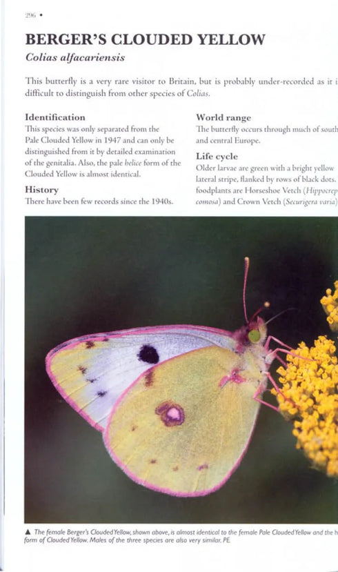 Butterflies of Britain and Ireland: A Field and Site Guide - Easterbrook,M. 2010