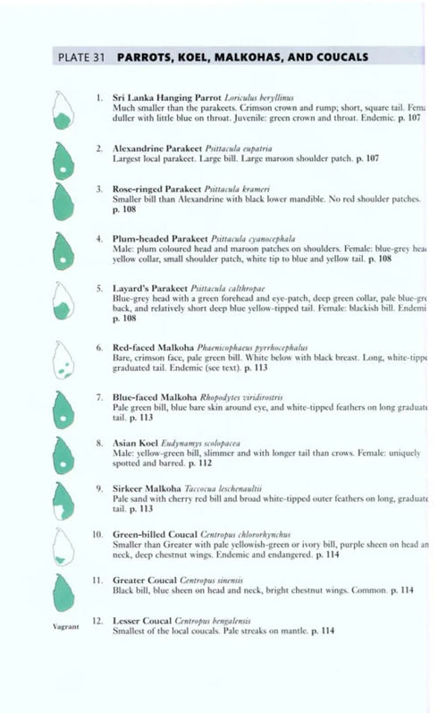 Field Guide to the Birds of Sri Lanka, Second edition - Harrison, J. 2011