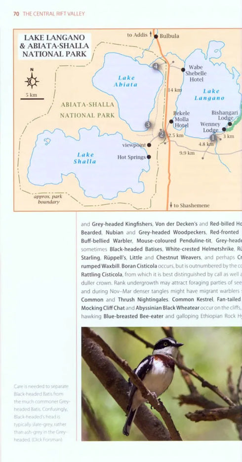 Where to Watch Birds in Ethiopia, - Gabremichael,M. & Spottiswoode,J.F.C. 2010