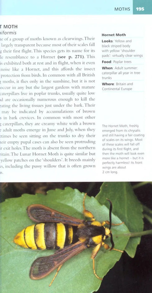 Garden Pests of Brirain & Europe - Michael Chinery 2010