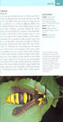 Garden Pests of Brirain & Europe - Michael Chinery 2010