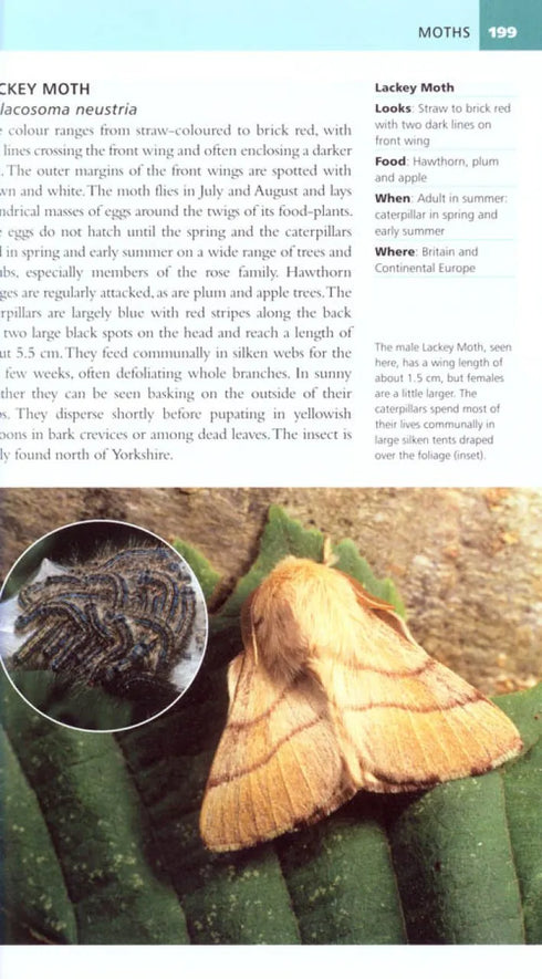 Garden Pests of Brirain & Europe - Michael Chinery 2010