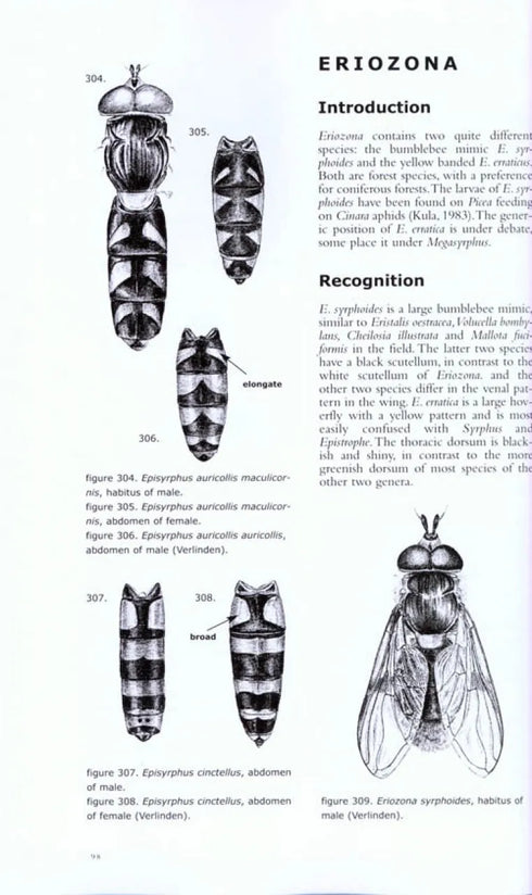 Hoverflies of Nothwest Europe - Identification kesy to the Syrphidae - van Veen,M.V. 2010